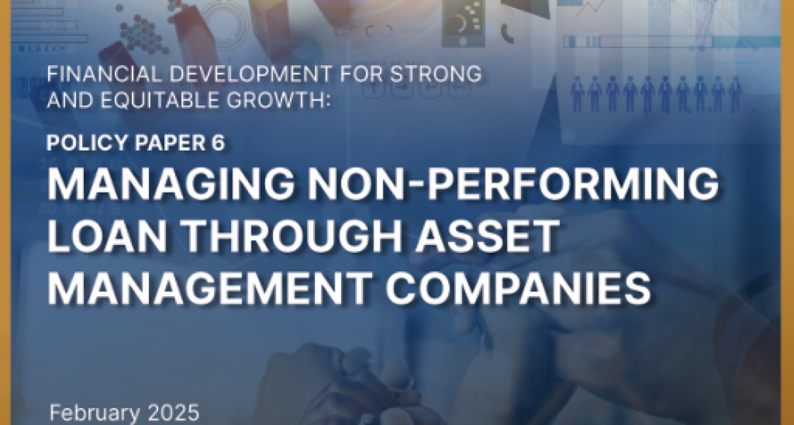 Policy Paper 6 IBC Findev