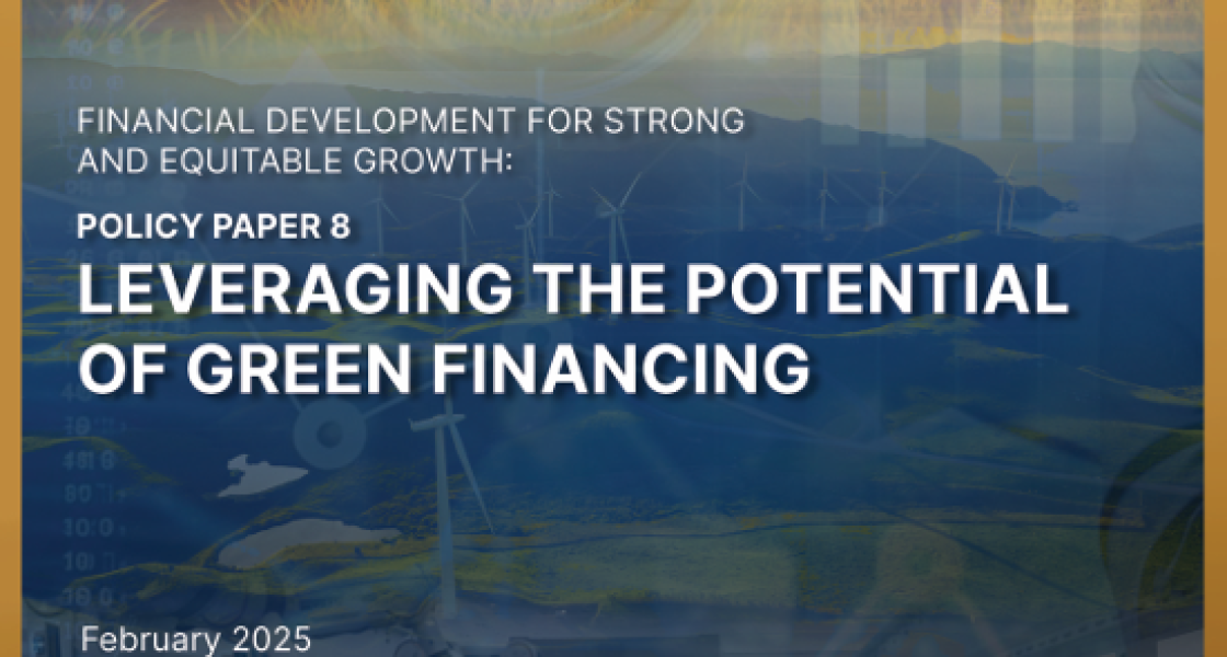 Policy Paper 8 IBC Findev